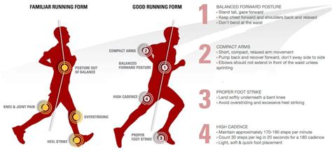 Anatomy and Biomechanics of Running