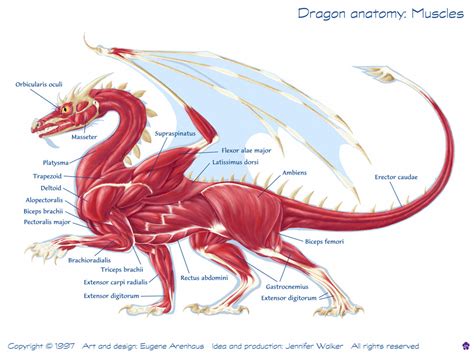 Anatomy and Characteristics of Boltscale Dragons