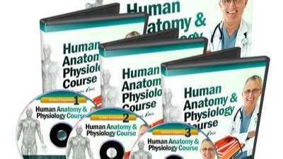 Anatomy and Physiology 2: Unlocking the Secrets of the Human Body