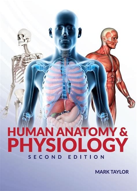 Anatomy and Physiology 2nd Edition PDF