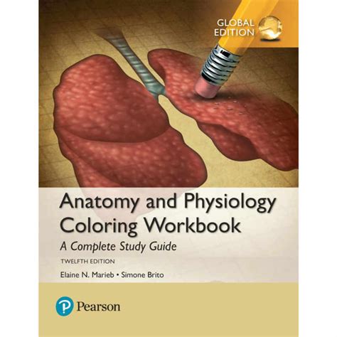 Anatomy and Physiology Coloring Workbook A Complete Study Guide Reader