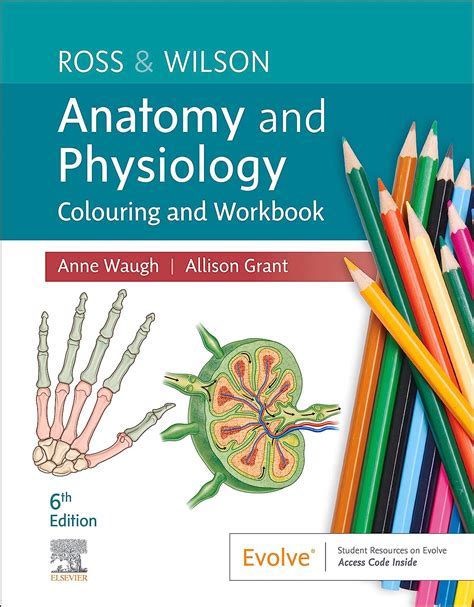 Anatomy and Physiology Colouring Workbook: Your Essential Companion for Visual Learning