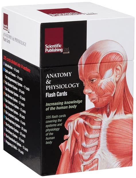 Anatomy and Physiology Flash Cards Epub