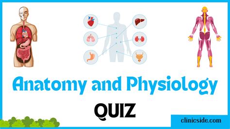 Anatomy and Physiology Quiz: Test Your Knowledge Now!