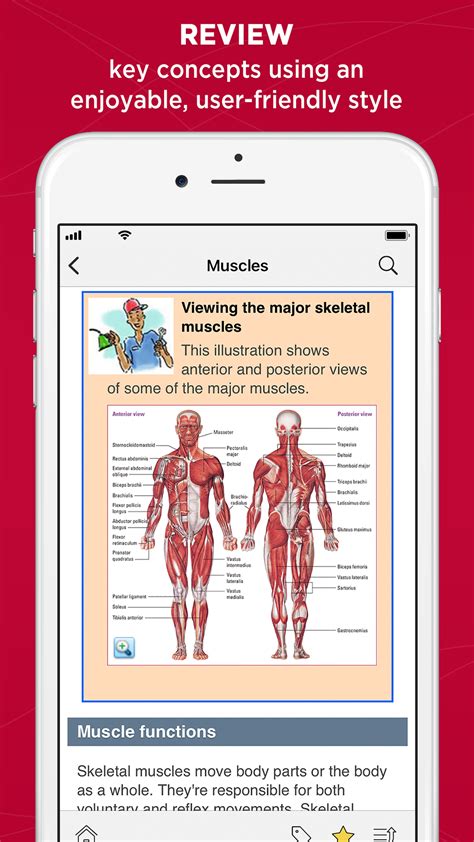 Anatomy and Physiology for Dummiesr Kindle Editon