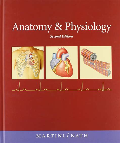 Anatomy and Physiology with IP-10 2nd Edition PDF