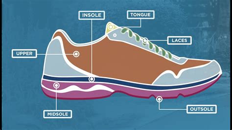 Anatomy of High-Jump Track Shoes