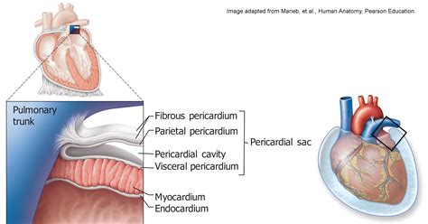 Anatomy of Lacerate: Piercing the Heart of Mechanics