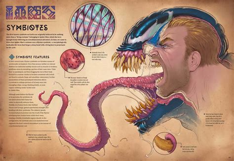 Anatomy of Nika Venom