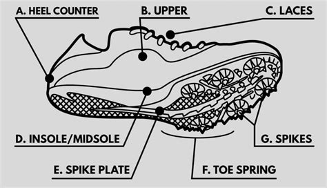 Anatomy of Spikes Shoes