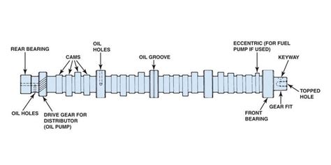 Anatomy of a Cam Bearing