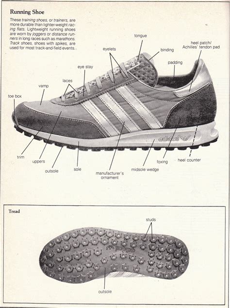 Anatomy of a Cheer Sneaker