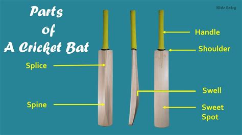 Anatomy of a Cricket Bat