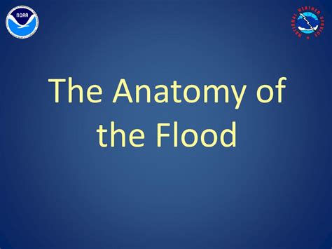 Anatomy of a Flood Reader