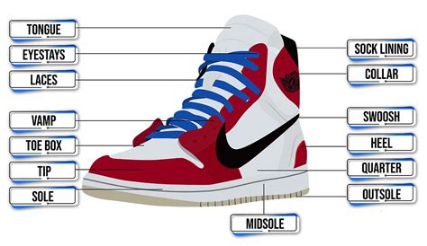 Anatomy of a Jordan Shoe: Understanding the Design