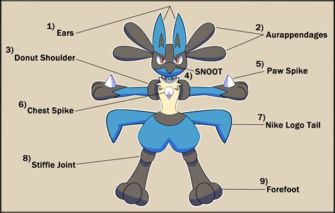 Anatomy of a Lucario