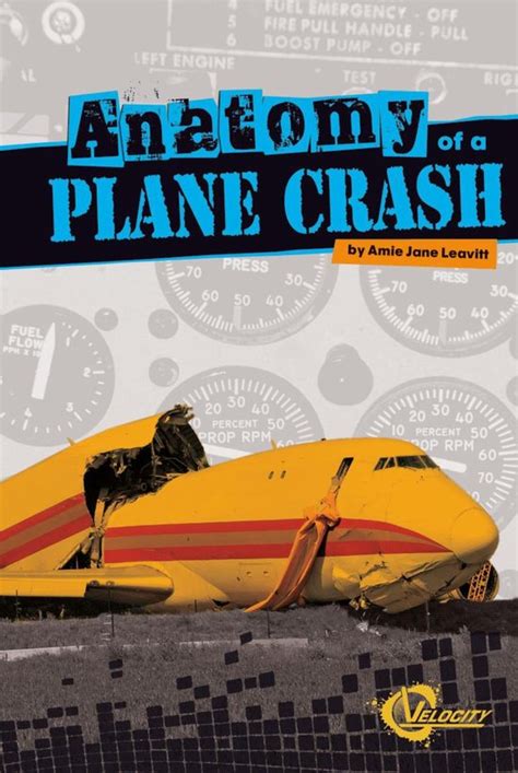 Anatomy of a Plane Crash Kindle Editon