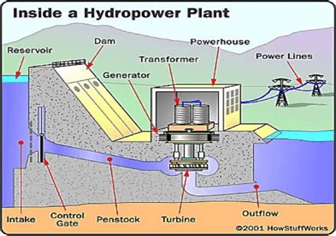 Anatomy of a Powerhouse