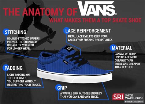 Anatomy of a Vans Air Force Sneaker