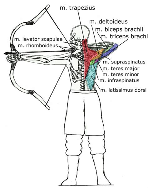 Anatomy of an Archery Outfit