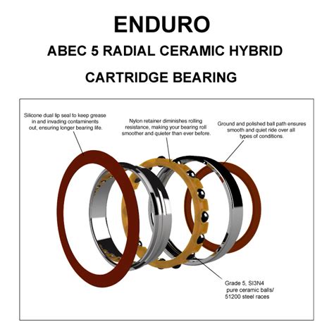 Anatomy of the 6001 Bearing