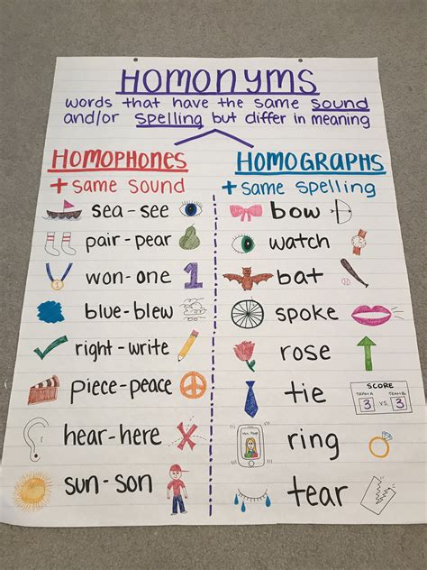 Anchor Chart Homophones Reader