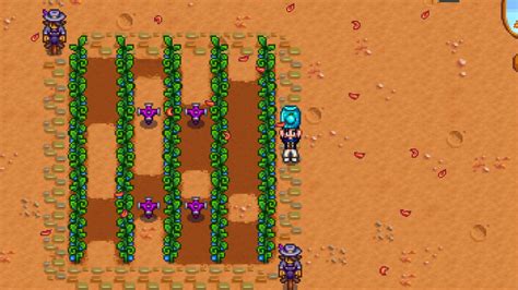 Ancient Seeds: A Guide to Stardew Valley's Enigmatic Crop