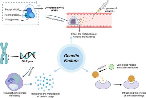 Anesthesia for Genetic Kindle Editon