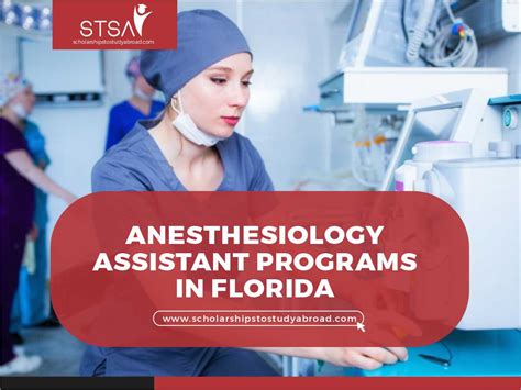 Anesthesiologist Assistant Programs in Florida: A Comprehensive Guide