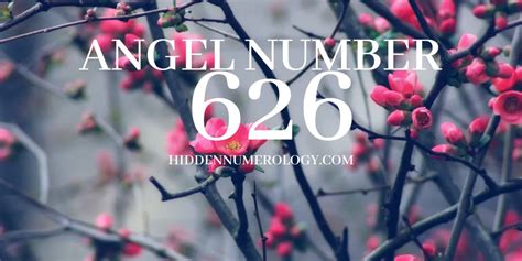 Angel Number 626 Meaning in Numerology