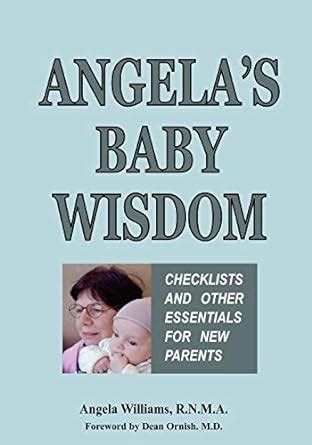 Angela's Baby Wisdom Checklists and Other Essentials for New Parents Epub