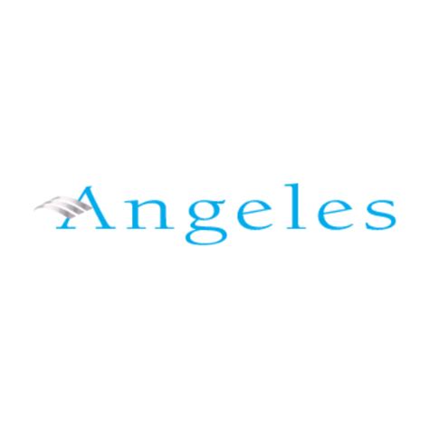 Angeles Investments: Unlock Endless Opportunities with 6-Figure Investments