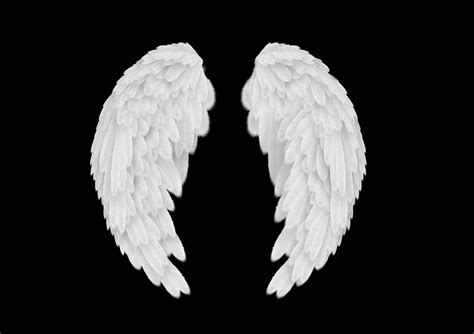 Angelic Wings