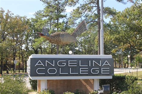 Angelina College OnlyFans Nude: An Explorative Deep-Dive