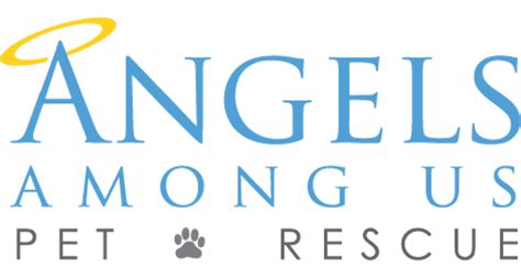 Angels Among Us: Animal Rescue Organizations Bringing Hope and Healing