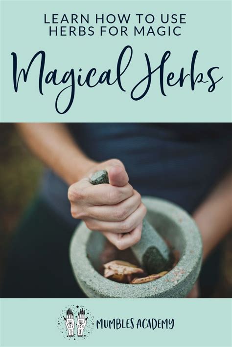 Angelsdaria: An In-Depth Guide to the Rejuvenating Herbal Remedy