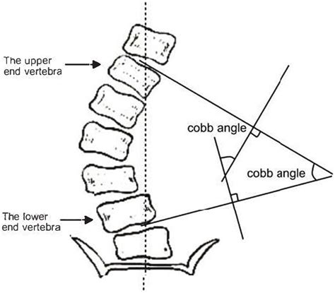 Angle Measurement Range: