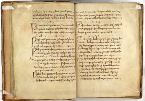 Anglo-Saxon Medicine Reader