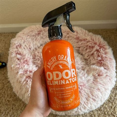 Angry Orange: The Ultimate Pet Stain Eraser in 2025