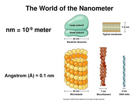 Angstrom to Nanometer: Unraveling the Microscopic World