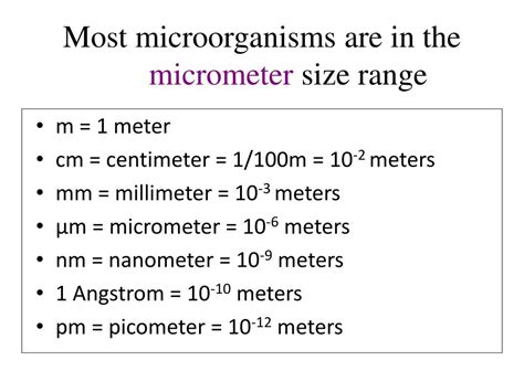 Angstroms to Microns: Unraveling the Microscopic World