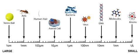 Angstroms to Nanometers: Exploring the Microcosm