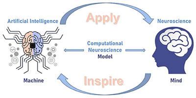 Anibae: Exploring the Convergence of AI, Neuroscience, and Bioengineering