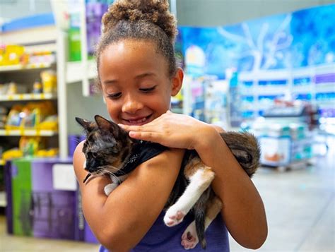 Animal Adoption Centers Near Me: A Comprehensive Guide to Finding Your Perfect Pet