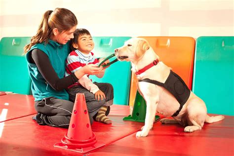 Animal Assisted Therapy: