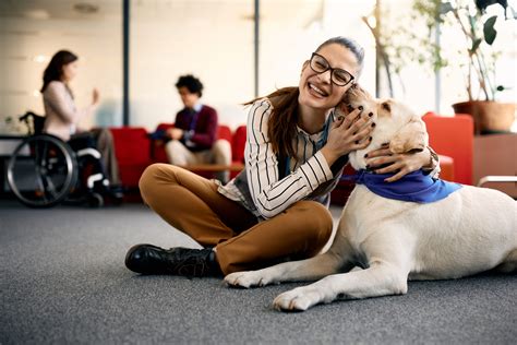 Animal Avengers: The Rise of Animal-Assisted Therapy