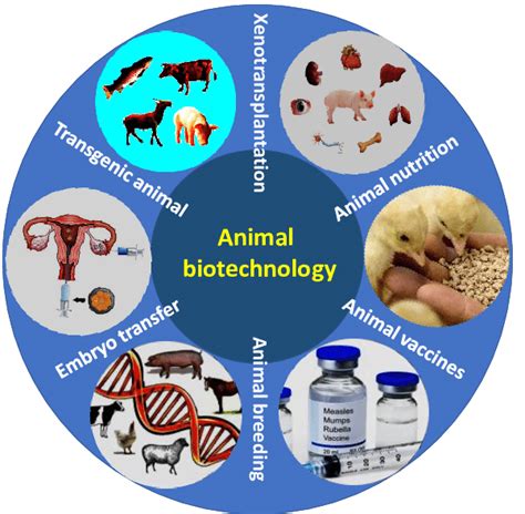 Animal Biotechnology PDF