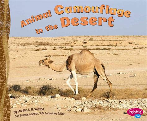 Animal Camouflage in the Desert (Pebble Plus) Kindle Editon