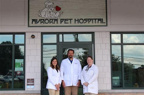 Animal Care Center of Aurora: Your 24/7 Pet Care Haven