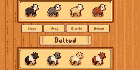 Animal Catalogue Stardew